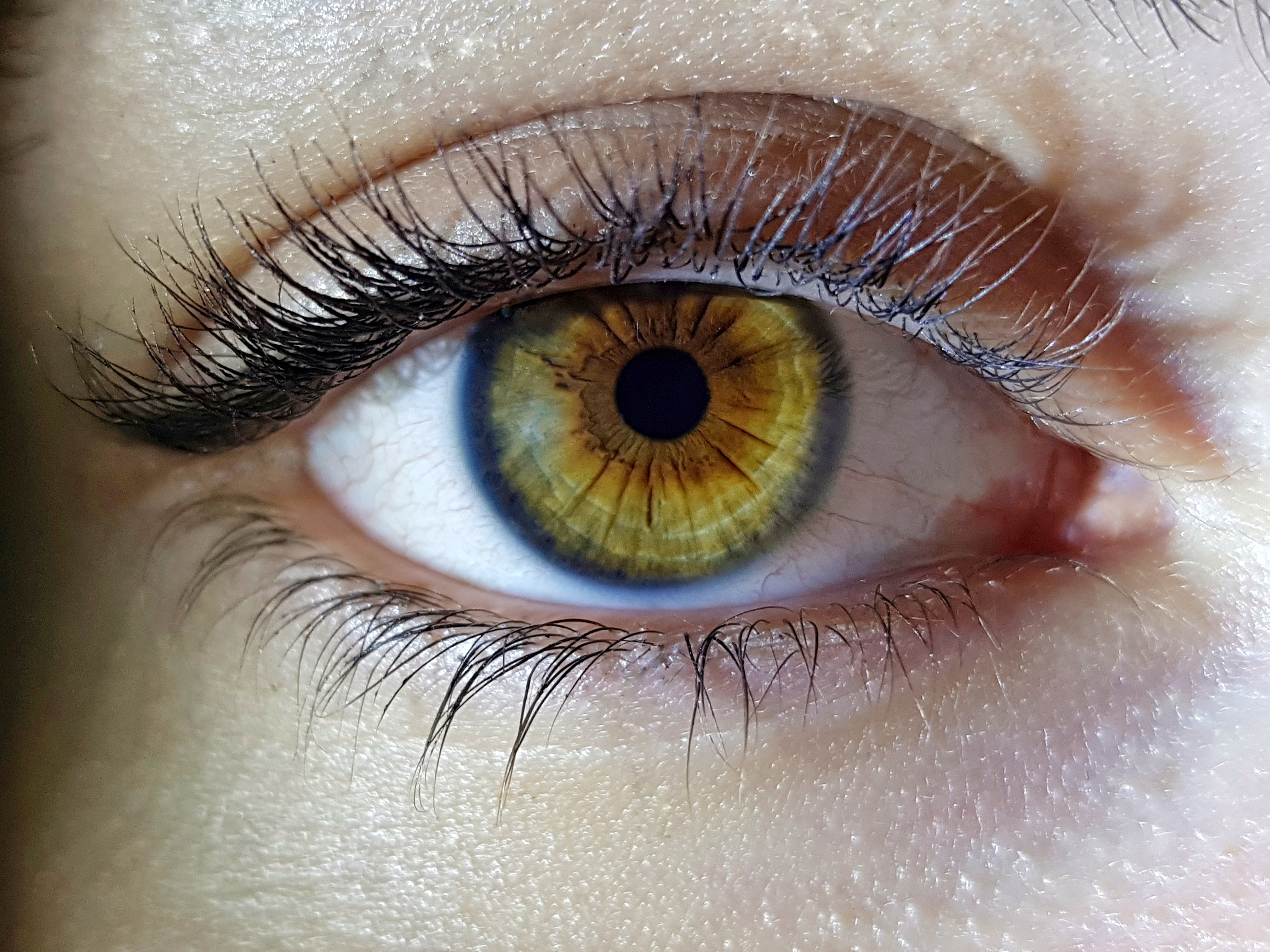 Know Your Eye